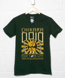Chikara Dojo Womens Fitted T-Shirt