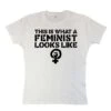 This Is What A Feminist Looks Like Womens Fitted T-Shirt -Maria Sales Store This Is What A Feminist Looks Like Womens Fitted T Shirt 8Ball 7855